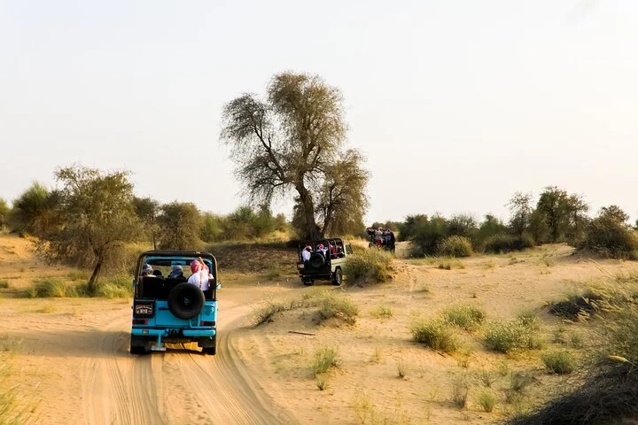 From Dubai: Full day Al Marmoom, Al Qudra Lakes with Dinner