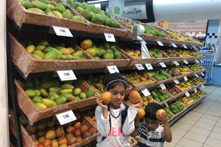 Full Day Dubai Shopping Tour with Private Transfers