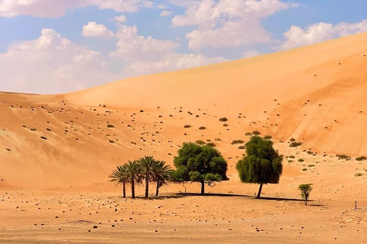 Full Day Liwa Desert Safari Trip and Explore Empty Quarter