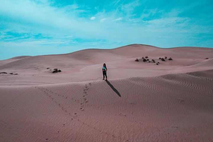 Full-day Private City Tour in Abu Dhabi (Private)