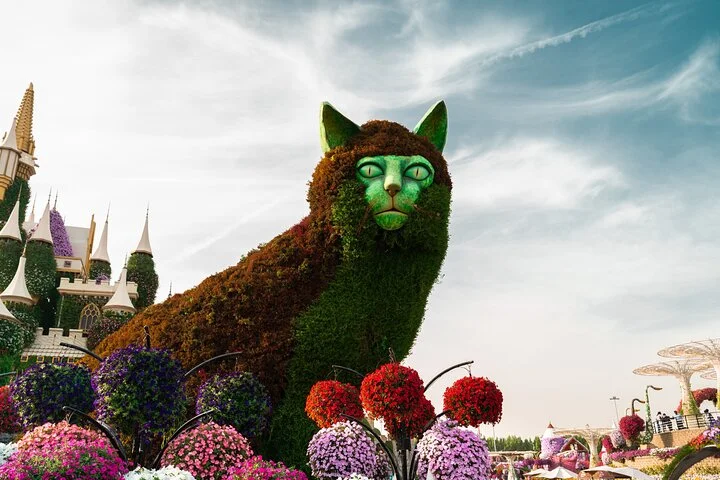 Full-Day Private Tour in Dubai