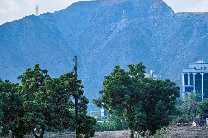 Full Day Private Tour in East Coast Khorfakkan