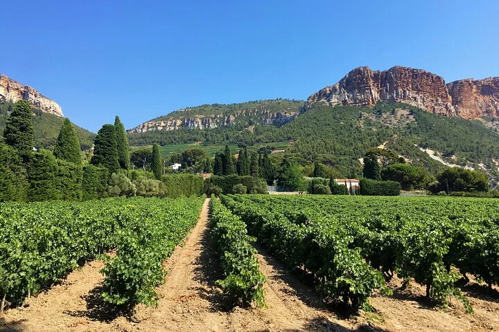 Full-day Wine Tour around Bandol & Cassis from Marseille