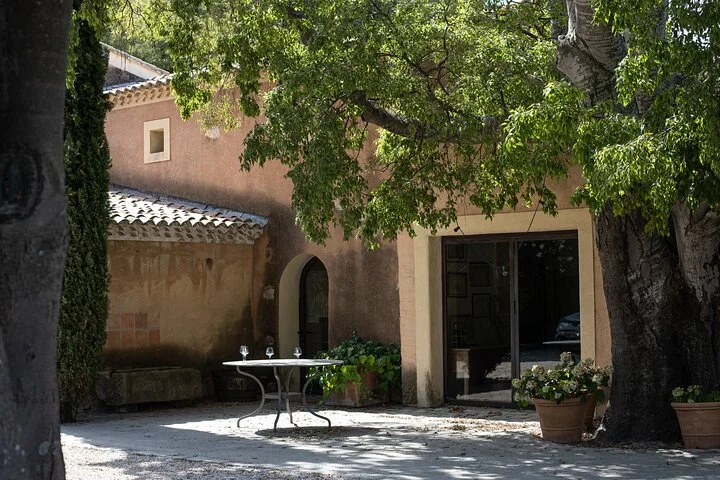 Full-day Wine Tour around Bandol & Cassis from Marseille