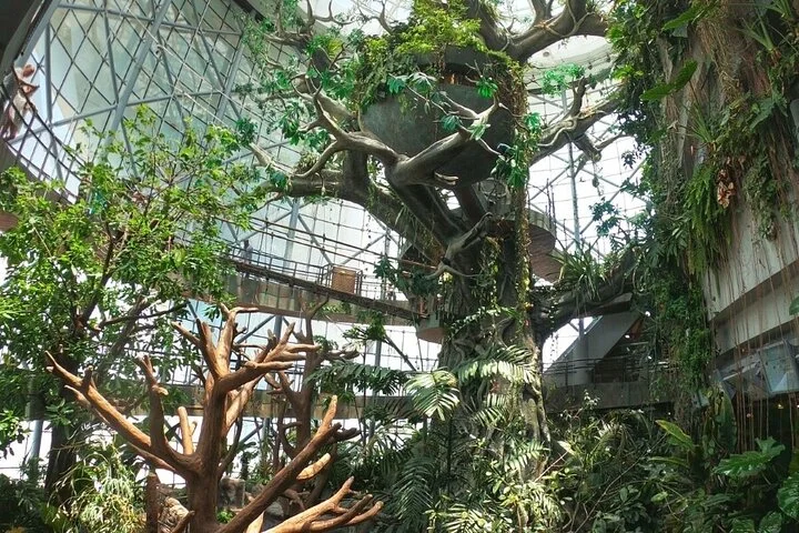 Green Planet Dubai Ticket