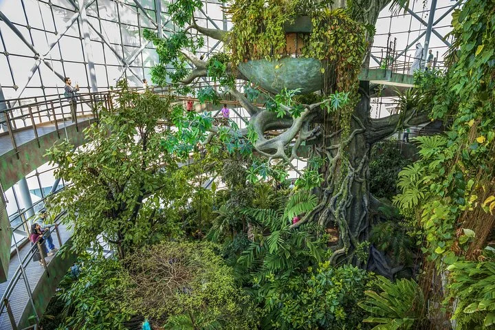 Green Planet Dubai Ticket