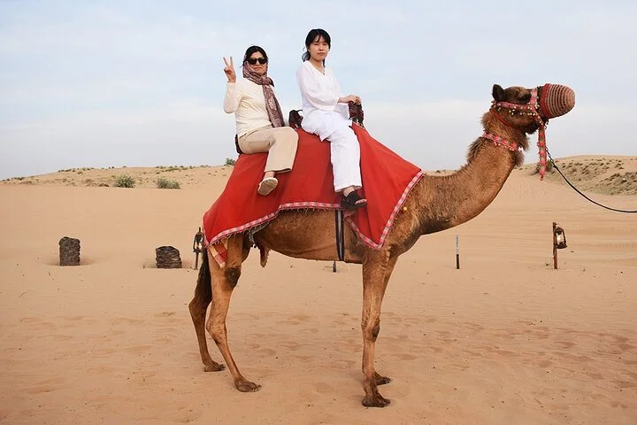 Guided Tour at Starlit Desert with Transportation