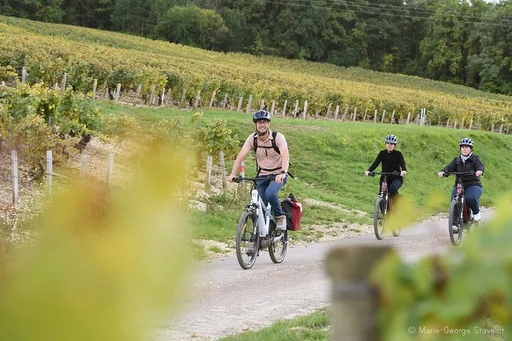 Guided tour of the Chablis Vineyards by e-bike