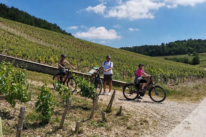 Guided tour of the Chablis Vineyards by e-bike