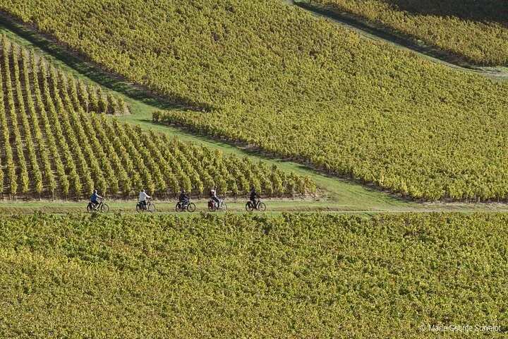 Guided tour of the Chablis Vineyards by e-bike