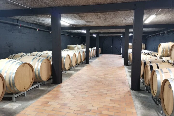 Guided tour of the Chablis Vineyards by e-bike