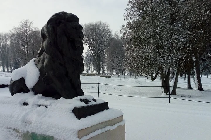 Half a Day Private Battle of the Somme Tour from Albert