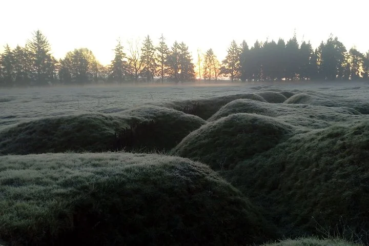 Half a Day Private Battle of the Somme Tour from Albert
