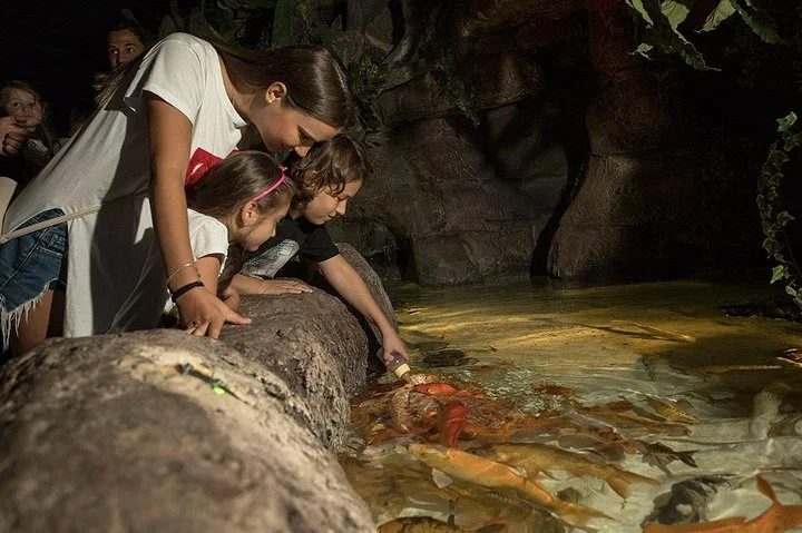 Half Day Antalya Aquarium Tunnel from Side