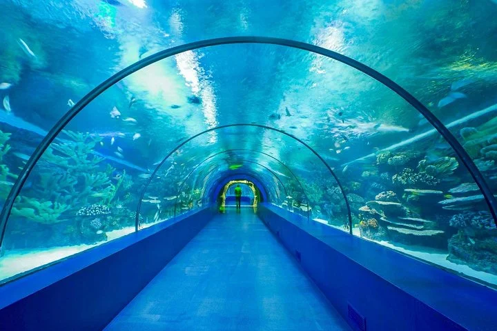 Half Day Antalya Aquarium Tunnel from Side