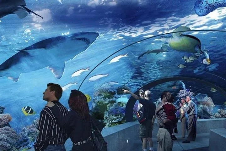 Half Day Antalya Aquarium Tunnel from Side