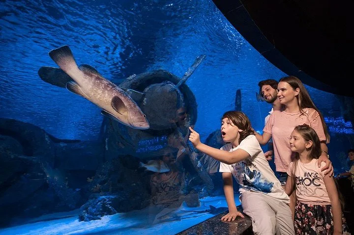 Half Day Antalya Aquarium Tunnel from Side