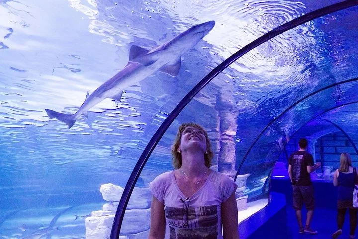 Half Day Antalya Aquarium Tunnel from Side