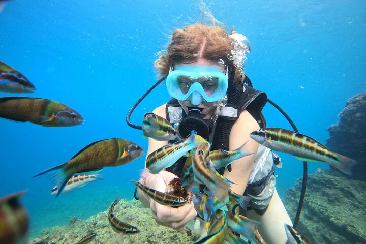 Half Day Scuba Diving @ Duden Waterfalls