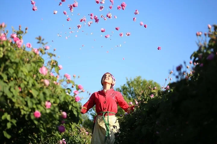 Isparta Roses fields & Tectonic Lake Salda