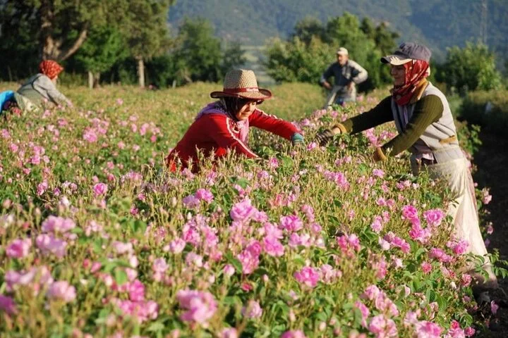 Isparta Roses fields & Tectonic Lake Salda
