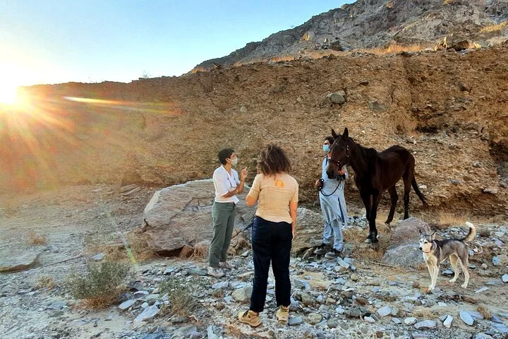 Journey to the Heart of the Emirates