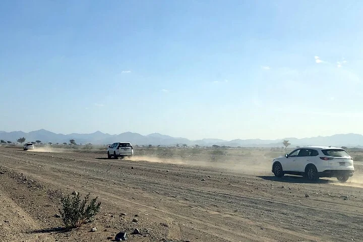 Journey to the Heart of the Emirates