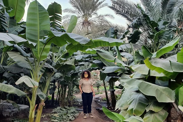 Journey to the Heart of the Emirates