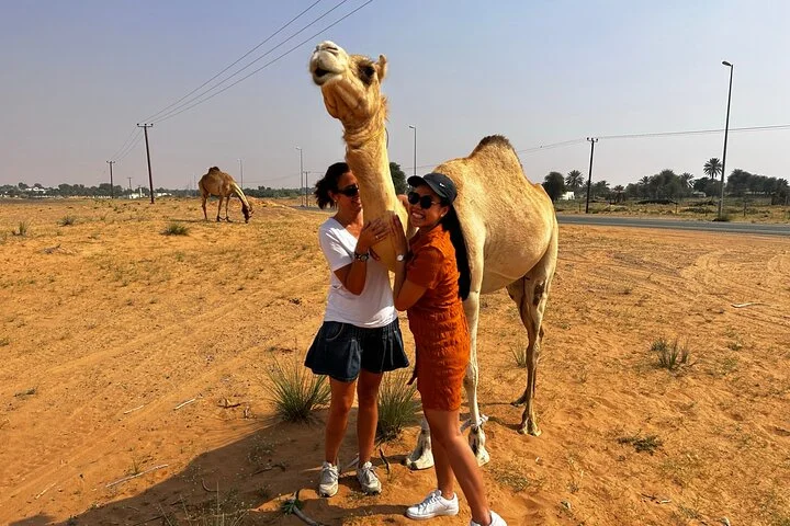 Journey to the Heart of the Emirates