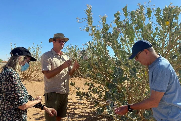 Journey to the Heart of the Emirates