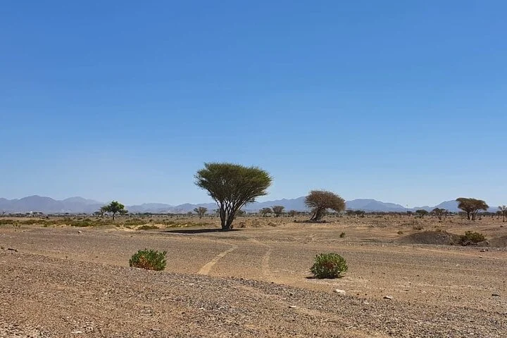 Journey to the Heart of the Emirates