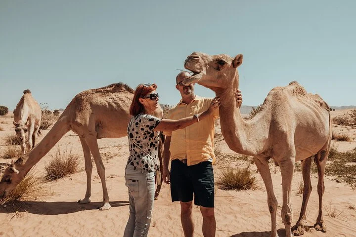 Journey to the Heart of the Emirates