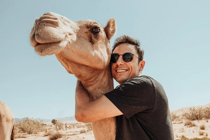 Journey to the Heart of the Emirates