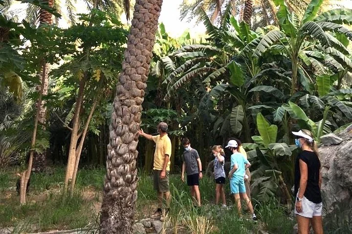 Journey to the Heart of the Emirates