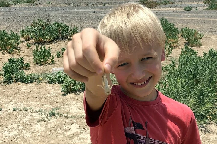 Journey to the Heart of the Emirates