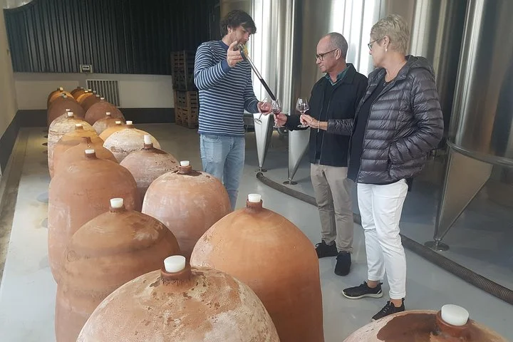 Languedoc Vineyard Tours