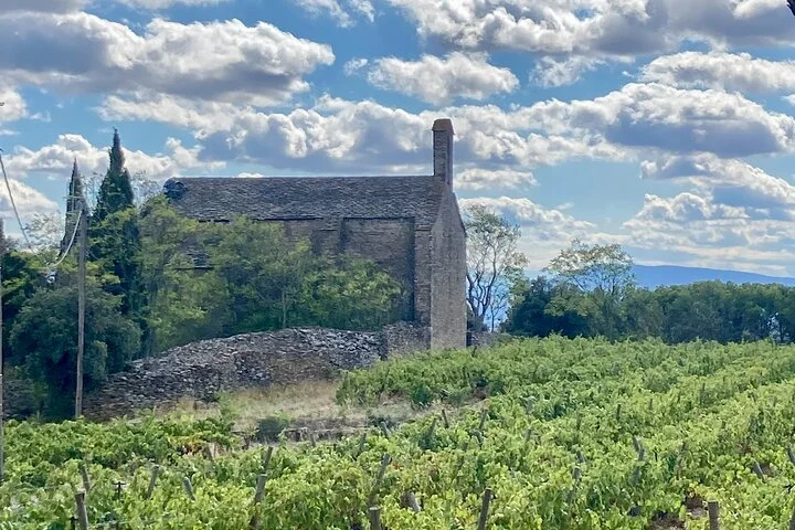 Languedoc Vineyard Tours