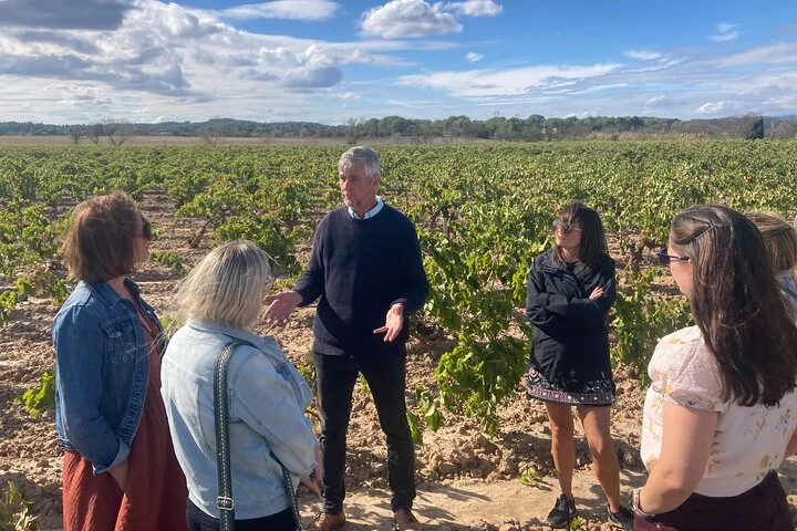 Languedoc Vineyard Tours
