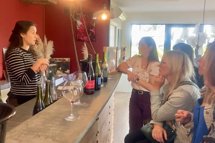 Languedoc Vineyard Tours