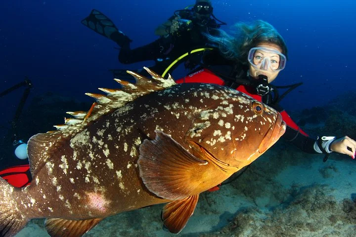 Learn to Dive PADI Open Water Diver Course
