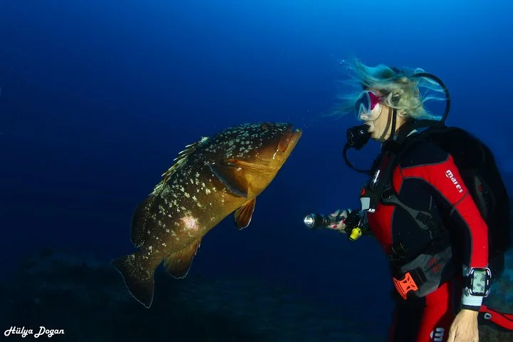 Learn to Dive PADI Open Water Diver Course