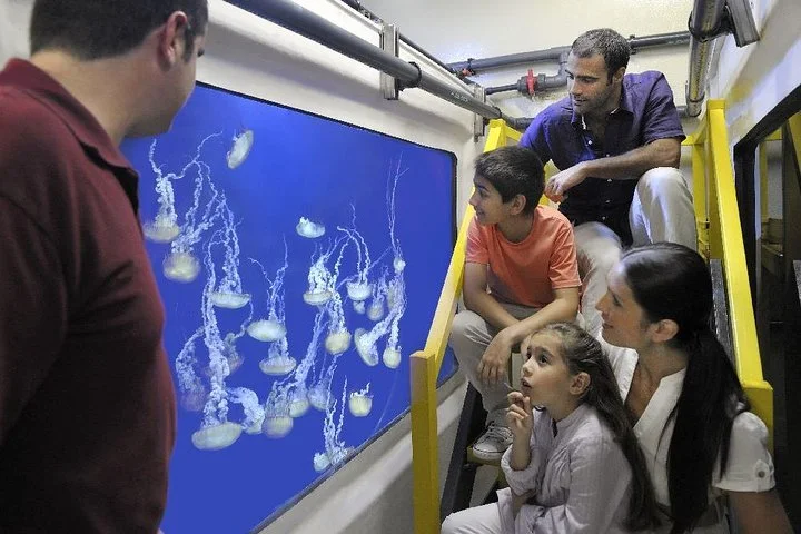 Lost World Aquarium + Behind The Scenes Tour