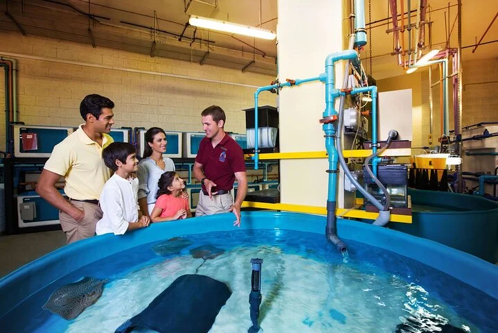 Lost World Aquarium + Behind The Scenes Tour