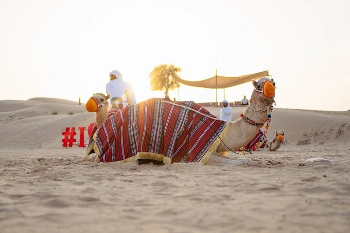 Luxurious Platinum Desert Safari Experience in Dubai