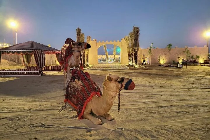 Luxurious Platinum Desert Safari Experience in Dubai