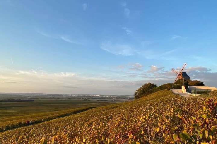 Luxury Champagne Tour(All Included): 2 Famous Houses & Restaurant