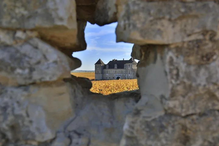 Luxury Luxury Wine Tour Experience