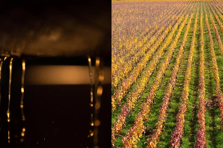 Luxury Luxury Wine Tour Experience