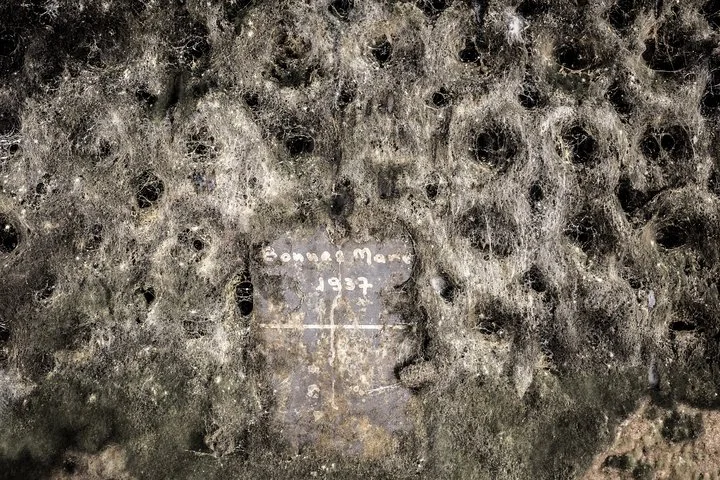 Luxury Luxury Wine Tour Experience