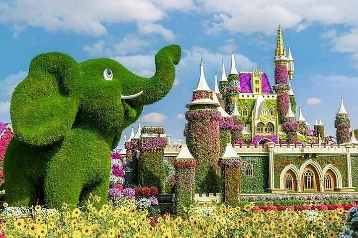 Miracle Garden and Global Village Private Tour - Dubai